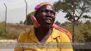 Business Innovation Facility (BIF) Nigeria Maize Market Investment Opportunities