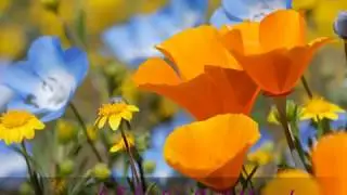 CHRISTIAN LULLABIES, For Quiet Moments