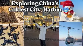 Harbin in Winter ❄️ | Cable Car, Zhongyang Street & Baroque Style Forest Theme Hotel