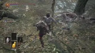 Ds3 PvE