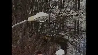 Les Quatre Saisons de la place Gu&eacute;rin