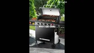 Cook boy cook
