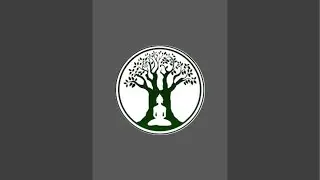 BODHI TARU ACADEMY is live