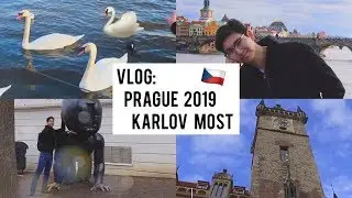 VLOG: Прага, лебеди и Карлов мост ♡
