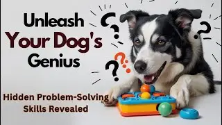 Unleash Your Dog&rsquo;s Genius &ndash; Hidden Problem Solving