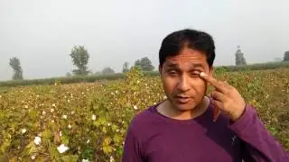 Jio validity 2017 free : reality