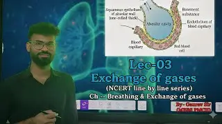 Lec-3 Exchange of gases, Breathing & Exchange of gases NCERT for NEET 26 &11 th by GAURAV SIR [PMCH]