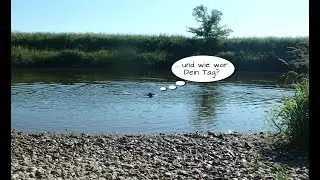 ACTION CAM HUNDE DEUTSCHLAND UM HUND ACTIONFILME