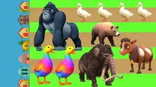 Long Slide Game With Elephant Gorilla Duck Hippopotamus Tiger 3d Animal Game Funny 3d Animals 