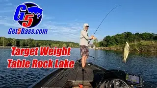 Bass Target Weight - Table Rock #bassfishing #tablerocklake #tablerocklakebassfishing