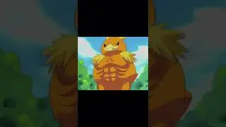 may imagines if her torchic evolves