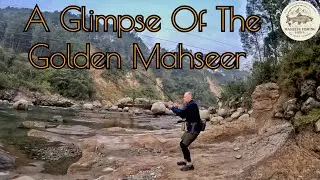 Battling a Himalayan Golden Mahseer in Himachal Pradesh, India
