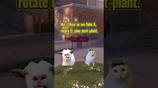 Trying to explain to my duo what the strategy will be // #valorantmemes  #valorant  #valorantfunny