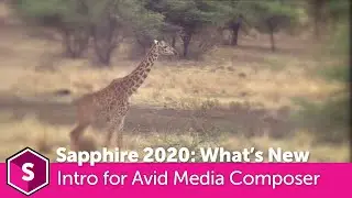 Sapphire 2020: Introduction to New Features for Avid Media Composer