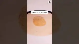 Can Chemistry Make Fingerprints Visible Again?
