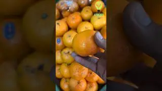 Buah Jeruk Segar Sangat Menggiurkan - Pertanian Desa #shorts