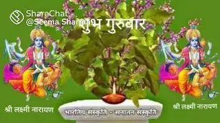 Indian Kitchen & art is live good evening everyone welcome to my live stream