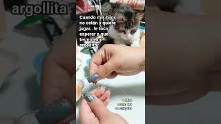 Mi SUPERVISOR ha crecido mucho. Ahora ocupa media mesa 😅 #cat #cute #adorable #mascotas #baby