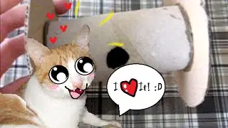 Cat treat toy tutorial :3