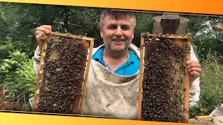 Kastamonu 'Kestane Balı' Coğrafi İşaret Belgesi Aldı