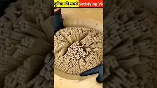 Top 3 most satisfying videos |#Facts verse official |#shorts @facts