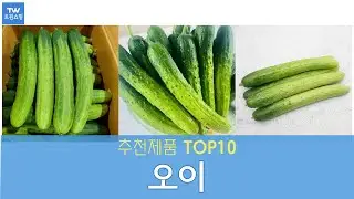 오이 추천 순위 Top10