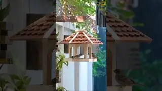 Create Your OWN Amazing Wooden Bird Feeder Designs Today  #diy #birdingparadise #birdfeeder