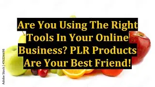 Are You Using The Right Tools In Your Online Business? PLR Products Are Your Best Friend!