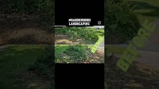 cleanup area for new project!! #asheboro #landscapingproject #garden