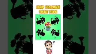 Visual Brain Teaser Find Picture That Fits #shorts #visual #brainteaser #viralshort
