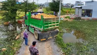 incredible landfill clear water full project ,truck transport soil .bulldozer push soil to water