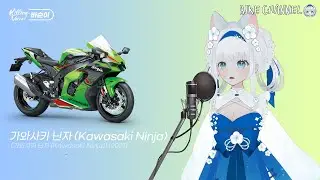 바순이 - 가와사키 닌자 | 바이크채널 | 제이보 Zayvo