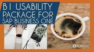 B1 Usability Package Training for SAP Business One