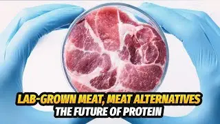 The Future Of Protein
