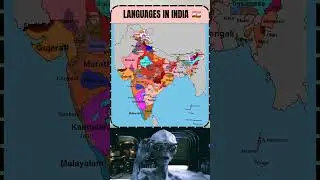 28 States, 22 Official Languages: A Speed Tour! #india #language #tamil #telugu #hindi #marathi
