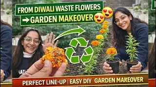 From Waste Flowers to Beautiful Garden Makeover 😍🌱 | Grow Marigold from Flowers #marigoldmagic 