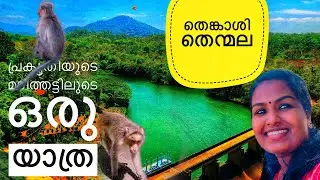 തെങ്കാശി - തെന്മല , പ്രകൃതിയുടെ മടിത്തട്ടിലുടെ ഒരു യാത്ര/ Tenkassi Thenmala Vlog/
