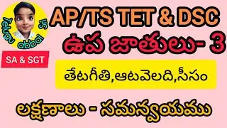 ఉపజాతులు-సమన్వయము#3to10#(SA తెలుగు)#ap tet#ap Dsc#tstet&dsc#telugu preparation for DSC examination📚