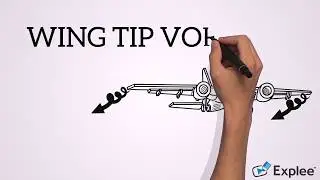 Wingtip vortices