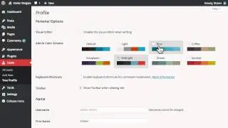 WordPress 101: The Dashboard