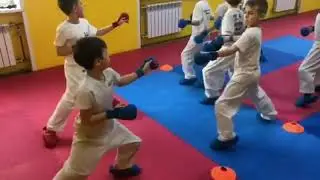 Kumite Training Distance Karate Techniques