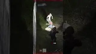 Major FAIL! HamanitZ PvE server no so PvE