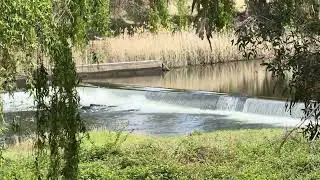 Snowy River & Dalgety Weir in NSW