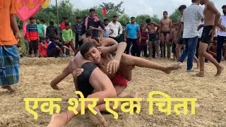 शेर का मुकाबला चिते से।#dangal #viral #kushti #army #wwe 8 November 2025