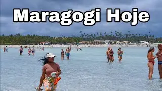 Maragogi Alagoas 20 De Janeiro De 2026 Bancos De Areia De Ponta De Mangue