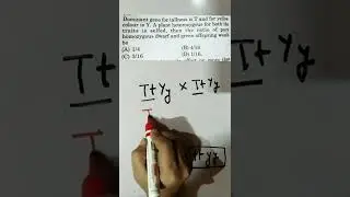 Problems based on probability | class 12 l NEET l Genetics