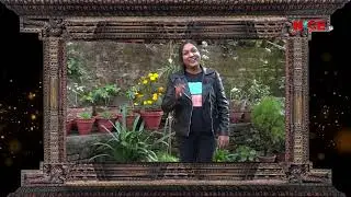 NEWA  IDOL  Audition रत्न शोभा महर्जन गायिका  | NICE TV HD
