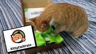 KittyCatKrate Unboxing - April 2018 - Cat Subscription Box