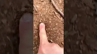 asmr Finger POV - red dirt #asmr #fingerpov #slowmotion #nature #walking
