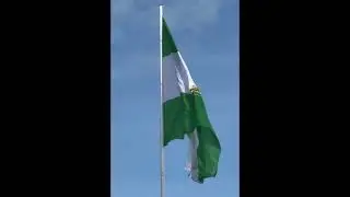 LA BANDERA BLANCA Y VERDE